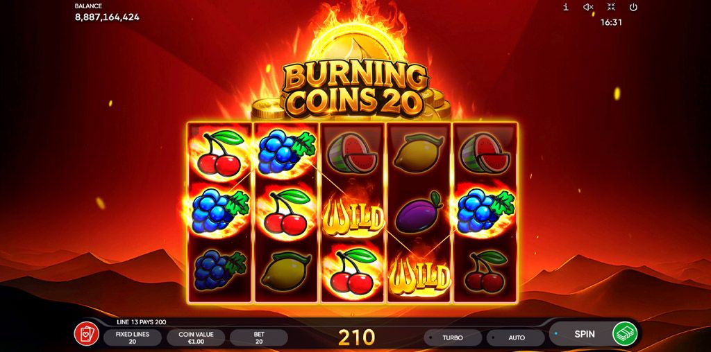 Burning Coins 20-gallery-1