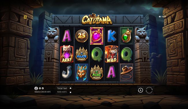 Catdiana-gallery-1