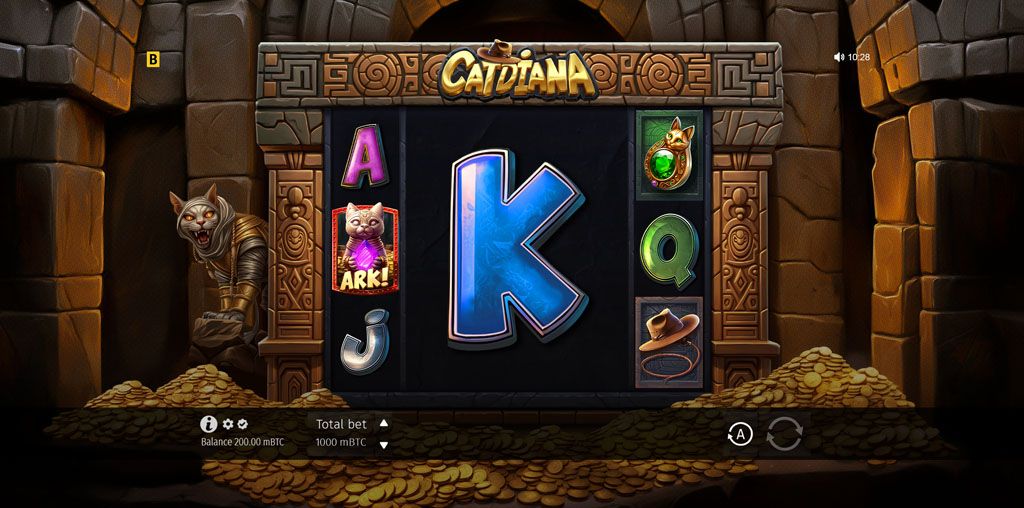 Catdiana-gallery-2