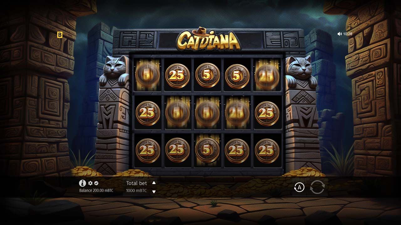 Catdiana-gallery-0