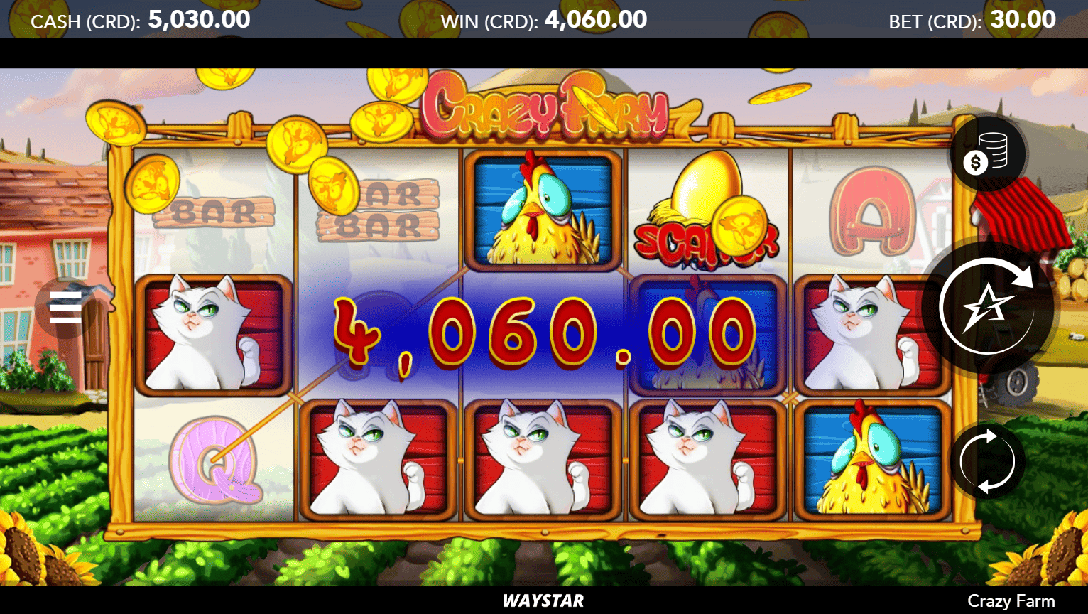 Crazy Farm-gallery-1