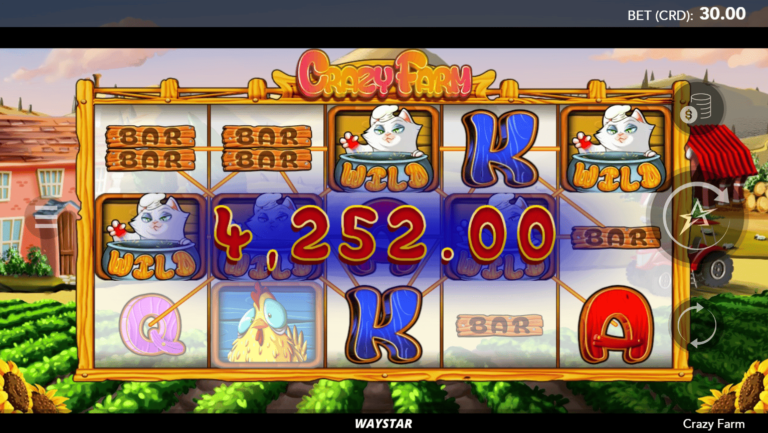 Crazy Farm-gallery-2