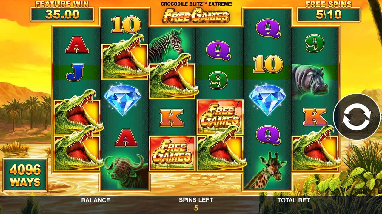 Crocodile Blitz-gallery-0