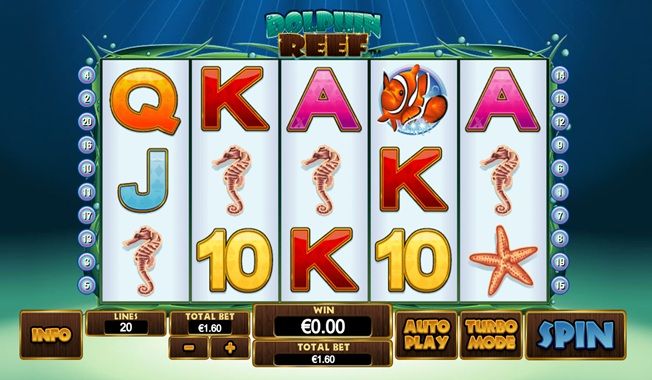 Dolphin Reef-gallery-2