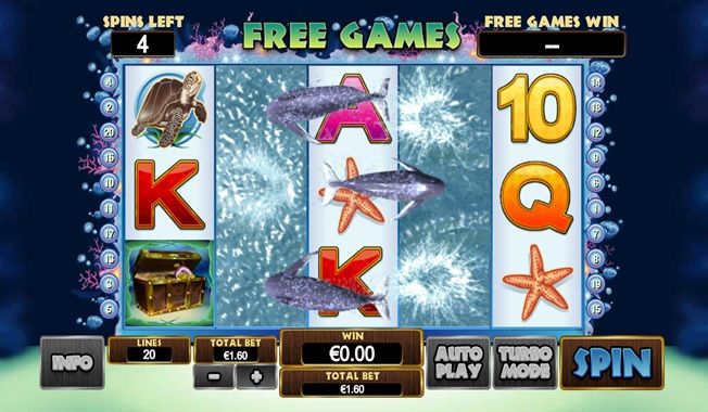 Dolphin Reef-gallery-1