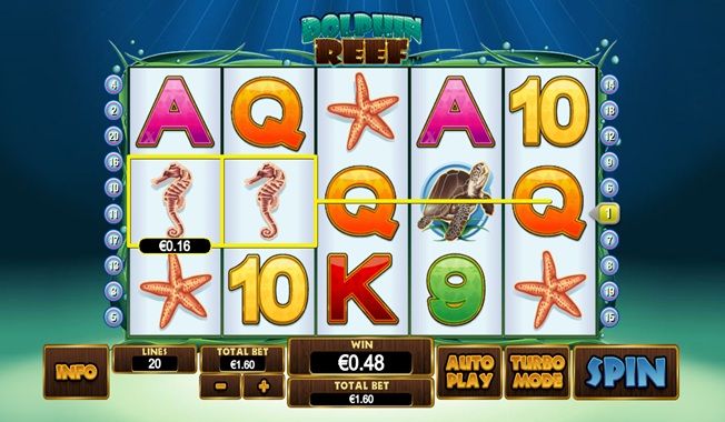 Dolphin Reef-gallery-0