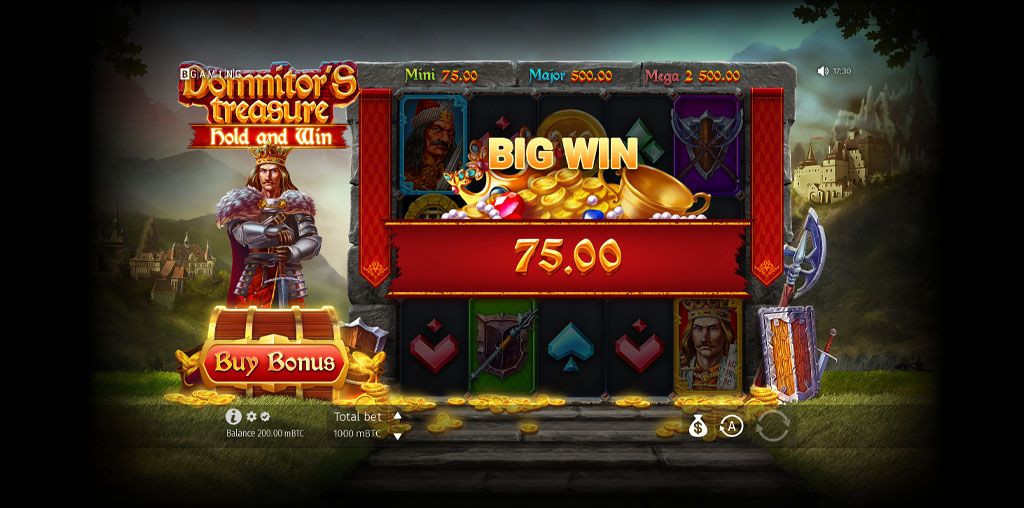Domnitor's Treasure-gallery-2
