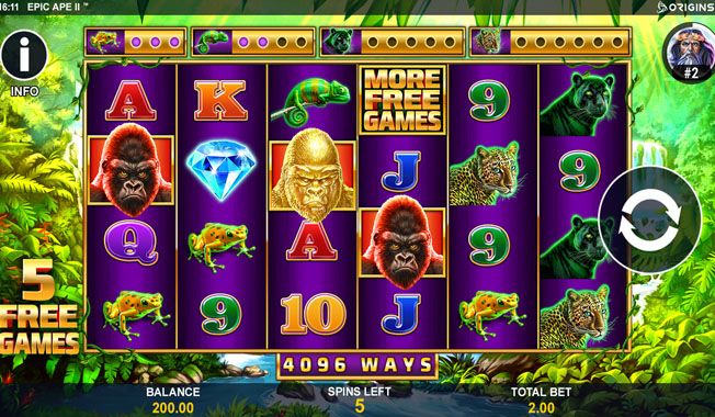 Epic Ape 2-gallery-2