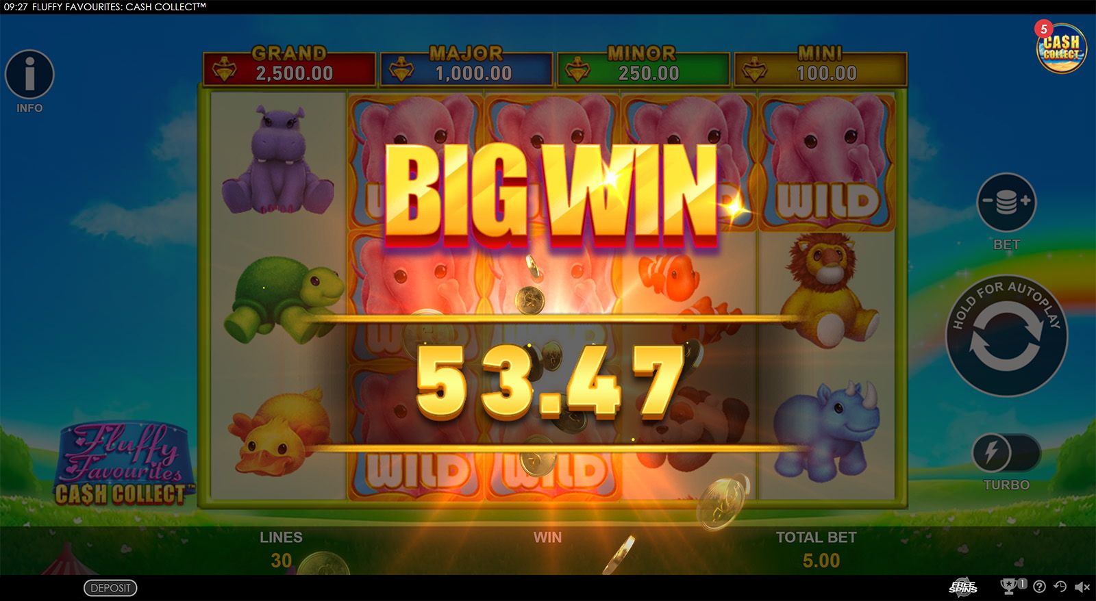 Fluffy Favourites: Cash Collect-gallery-0