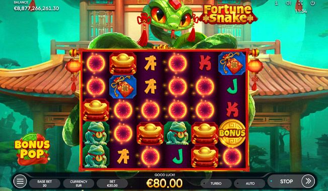 Fortune Snake-gallery-0