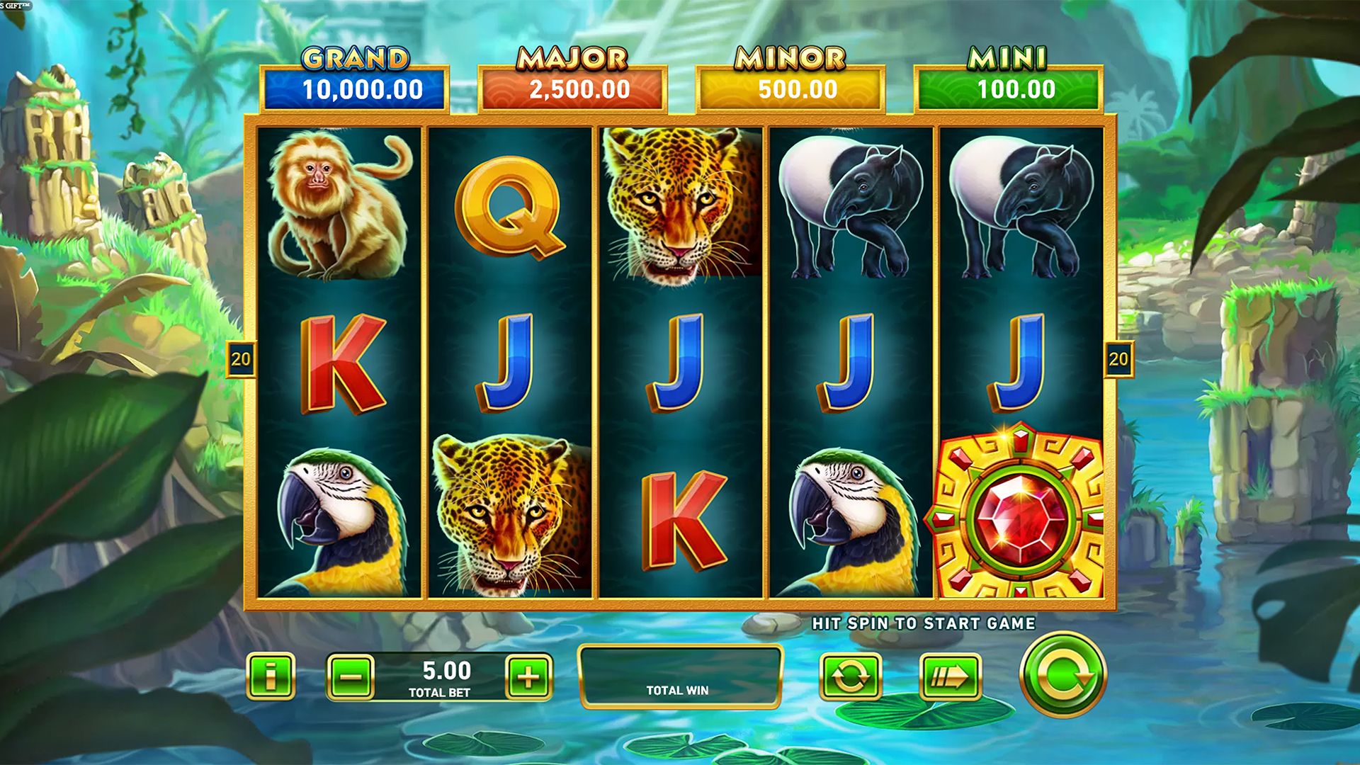 Frog's Gift-gallery-2