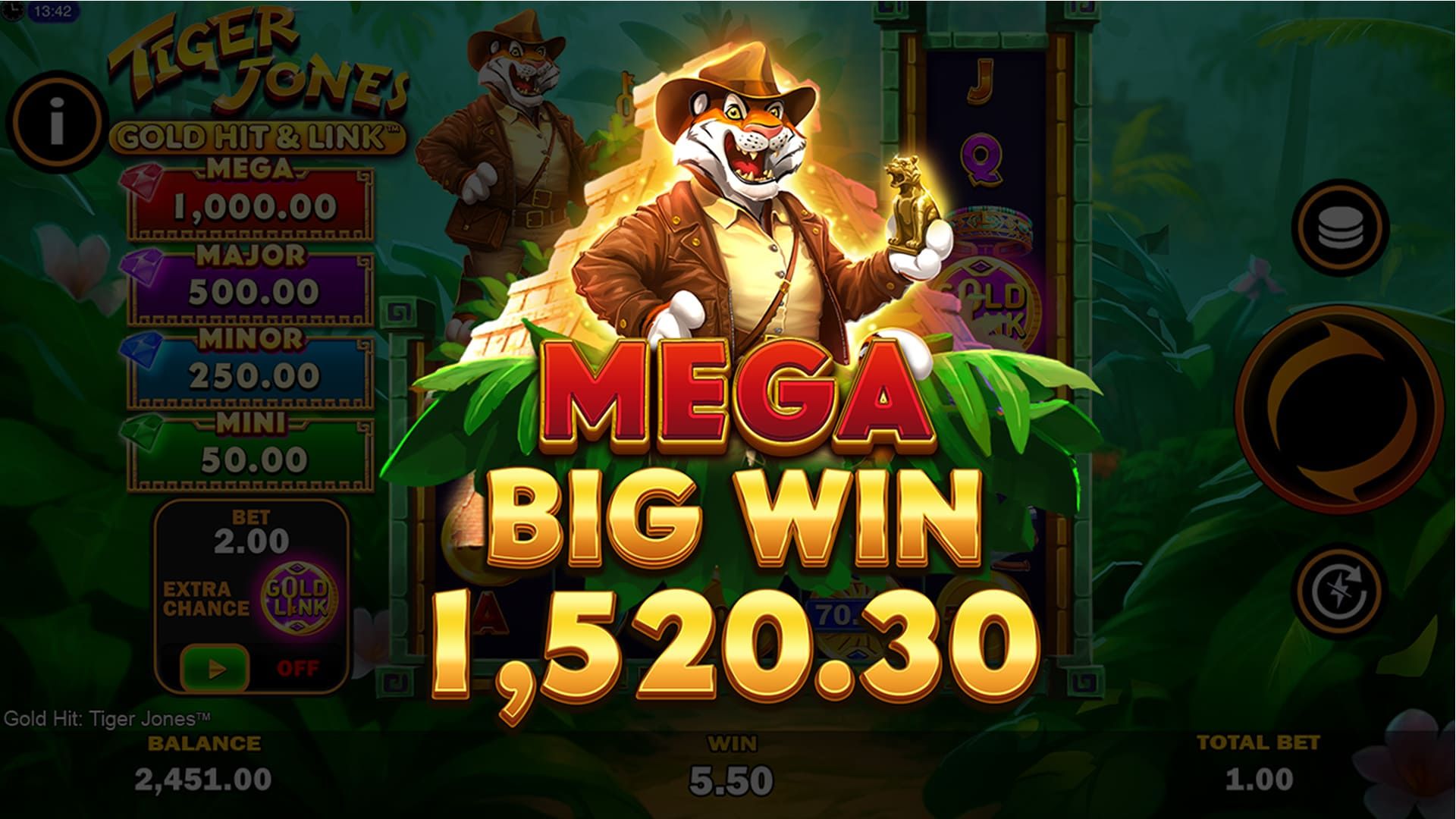 Gold Hit & Link: Tiger Jones-gallery-0