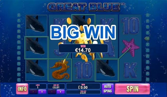 Great Blue-gallery-1