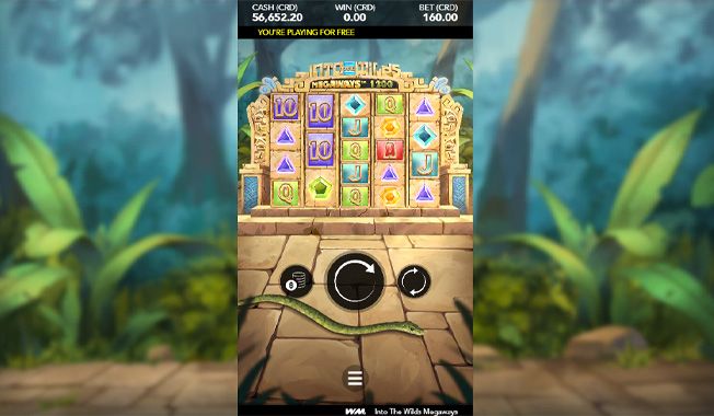 Into The Wilds Megaways-gallery-2