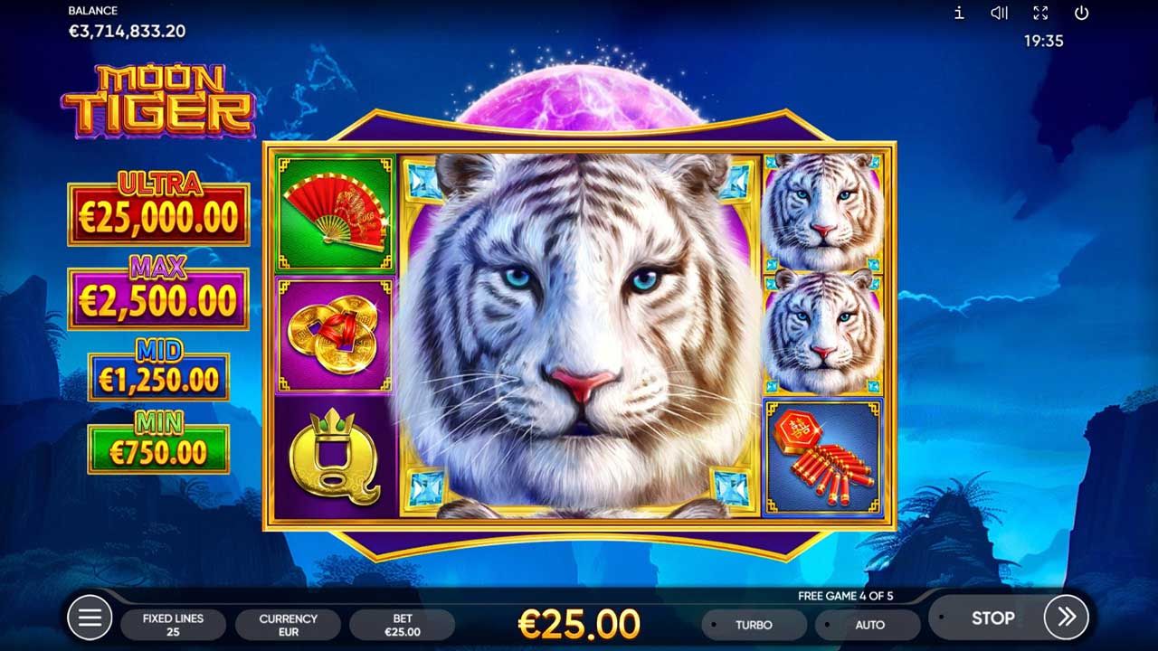 Moon Tiger-gallery-2