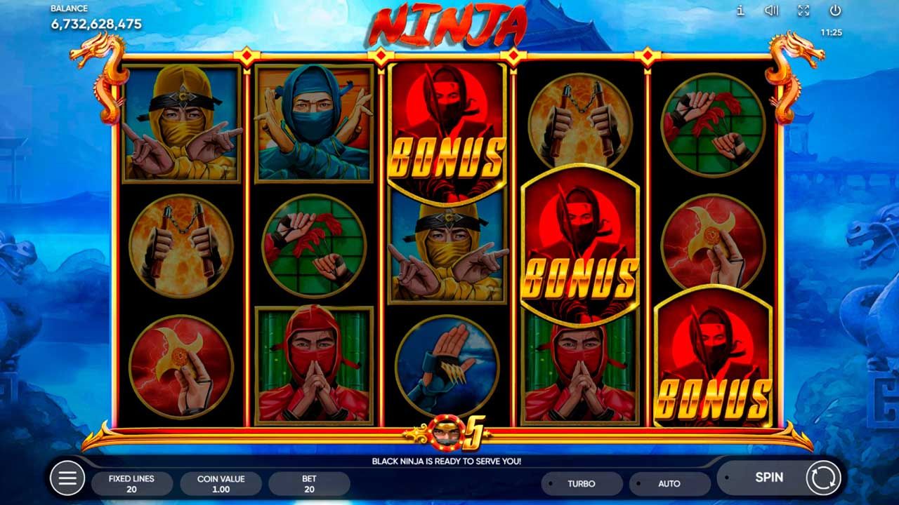 Ninja-gallery-2