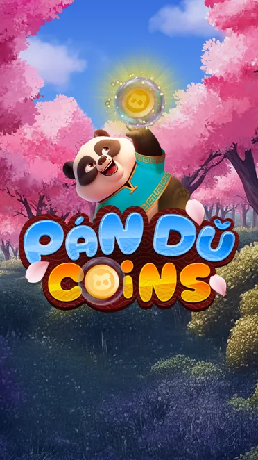Pan Du Coins