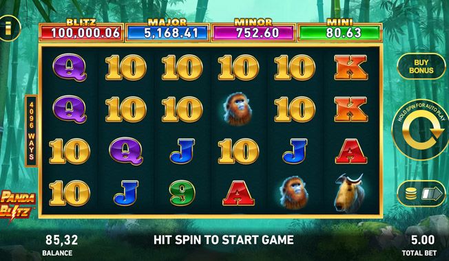 Panda Blitz-gallery-0