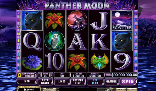 Panther Moon-gallery-0