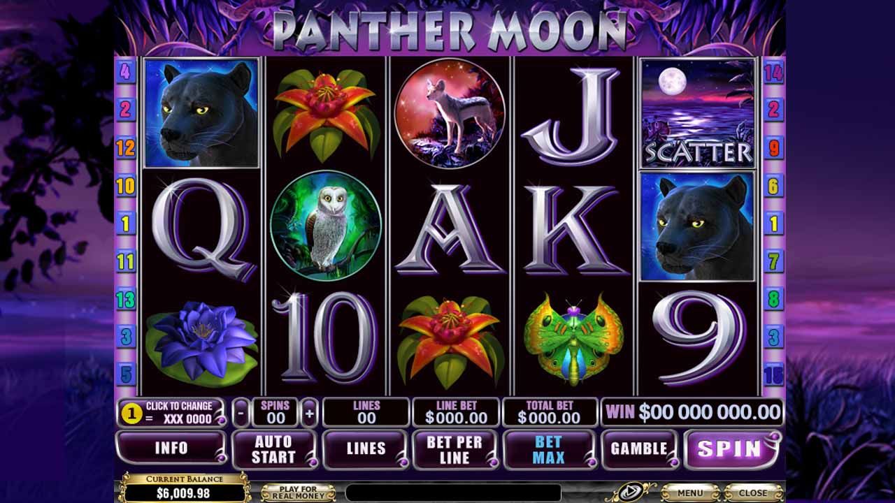 Panther Moon-gallery-2