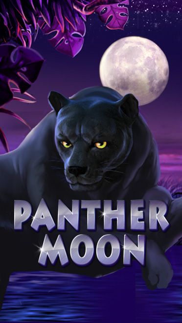 Panther Moon