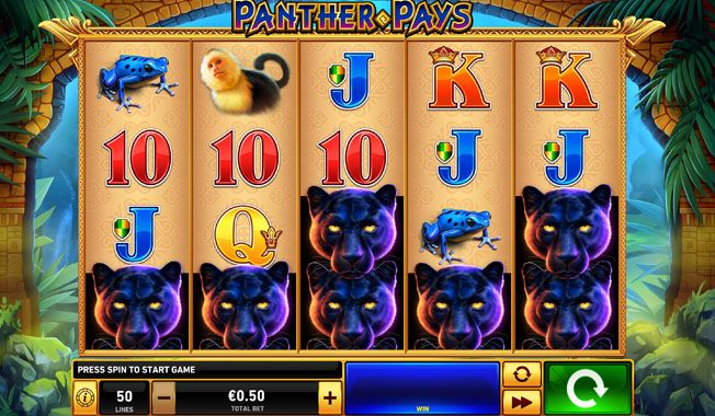 Panther Pays-gallery-1