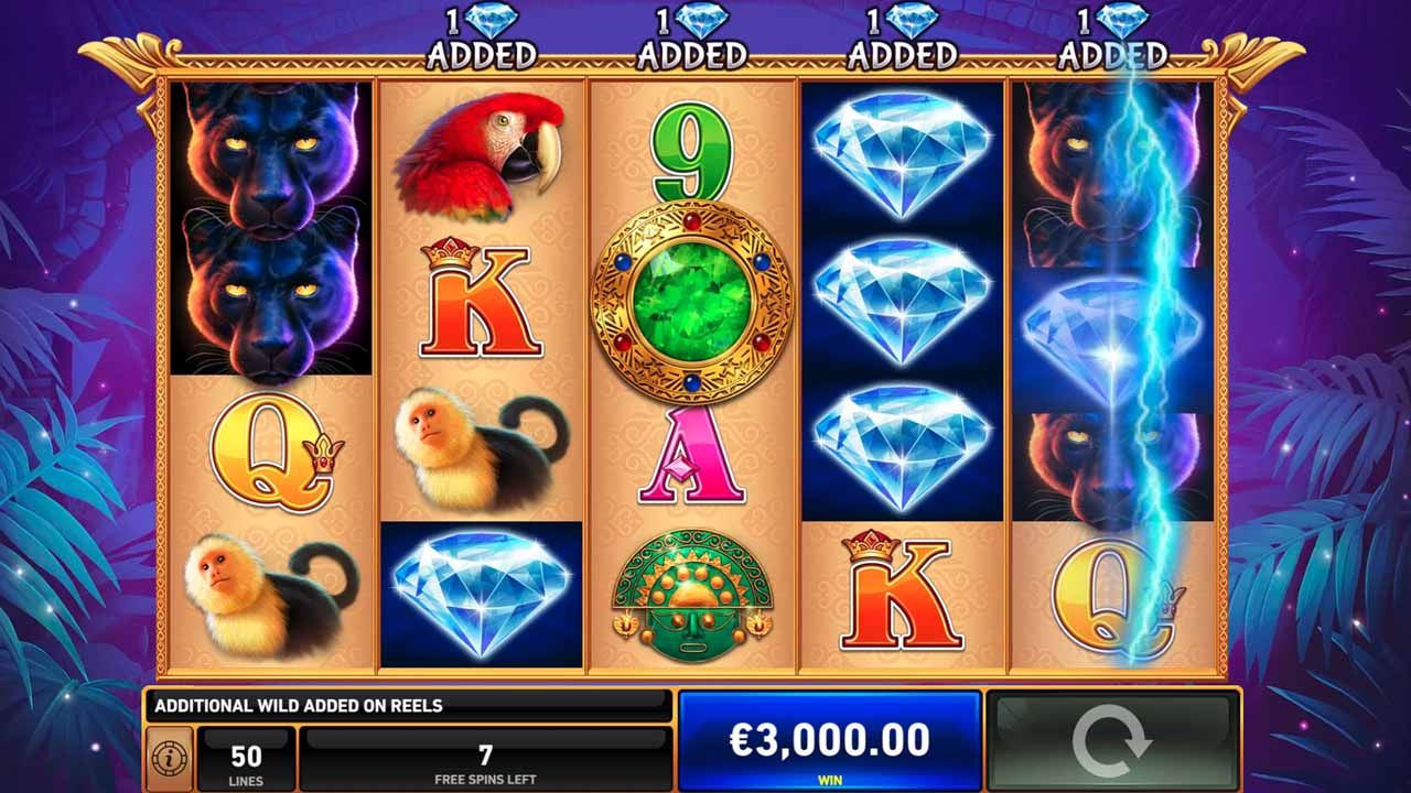 Panther Pays-gallery-2