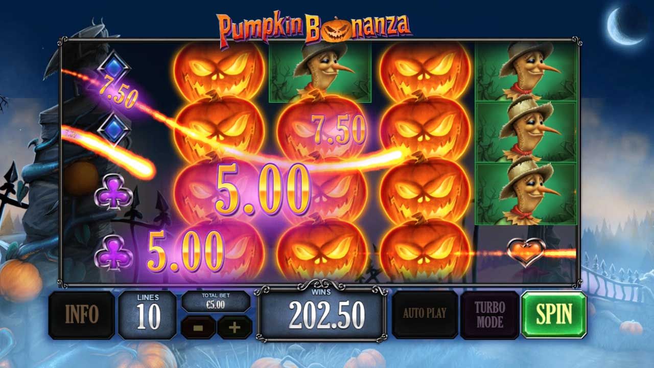 Pumpkin Bonanza-gallery-2
