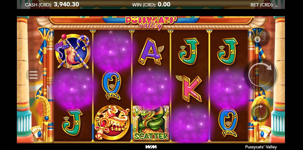 Pussycats' Valley-gallery-2