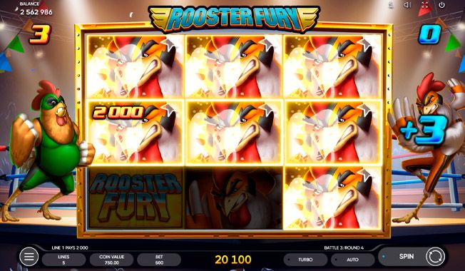 Rooster Fury-gallery-0