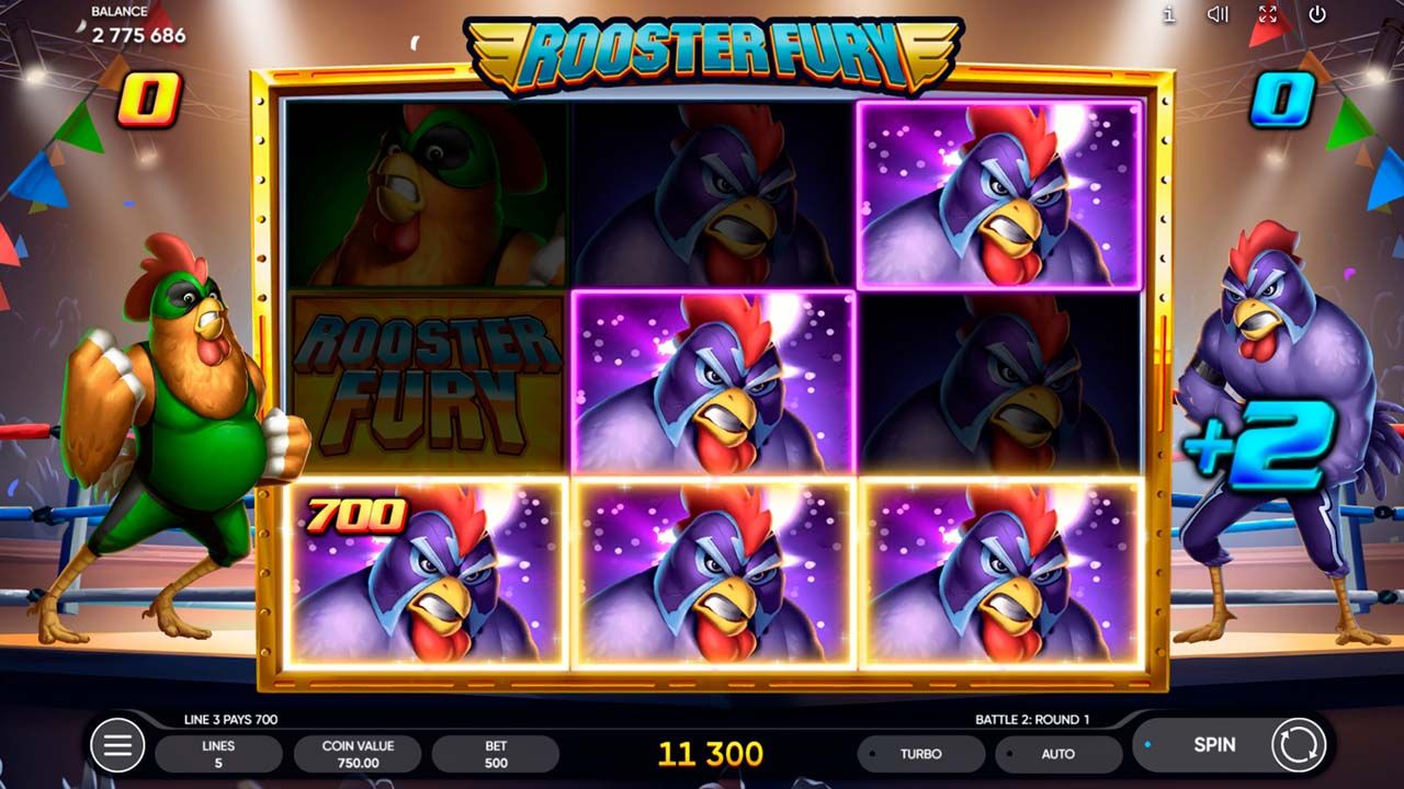 Rooster Fury-gallery-2