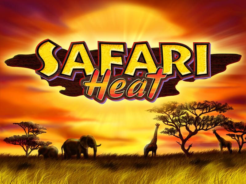 Safari Heat-gallery-0