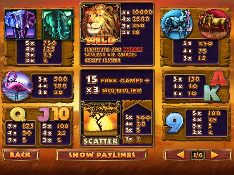 Safari Heat-gallery-2