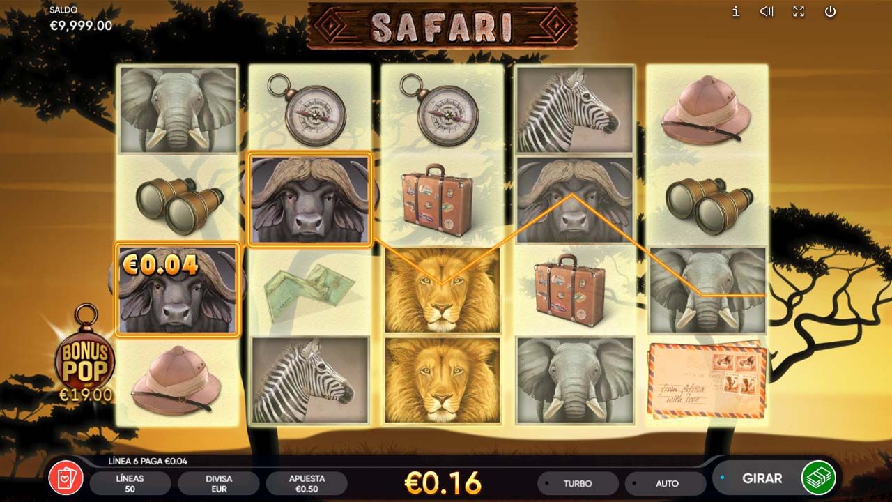 Safari-gallery-2
