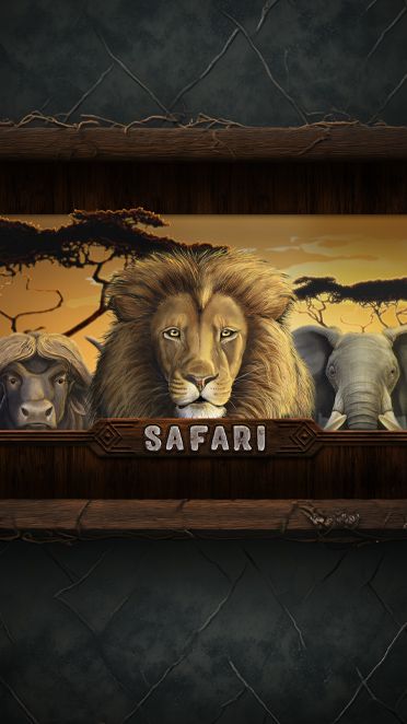 Safari