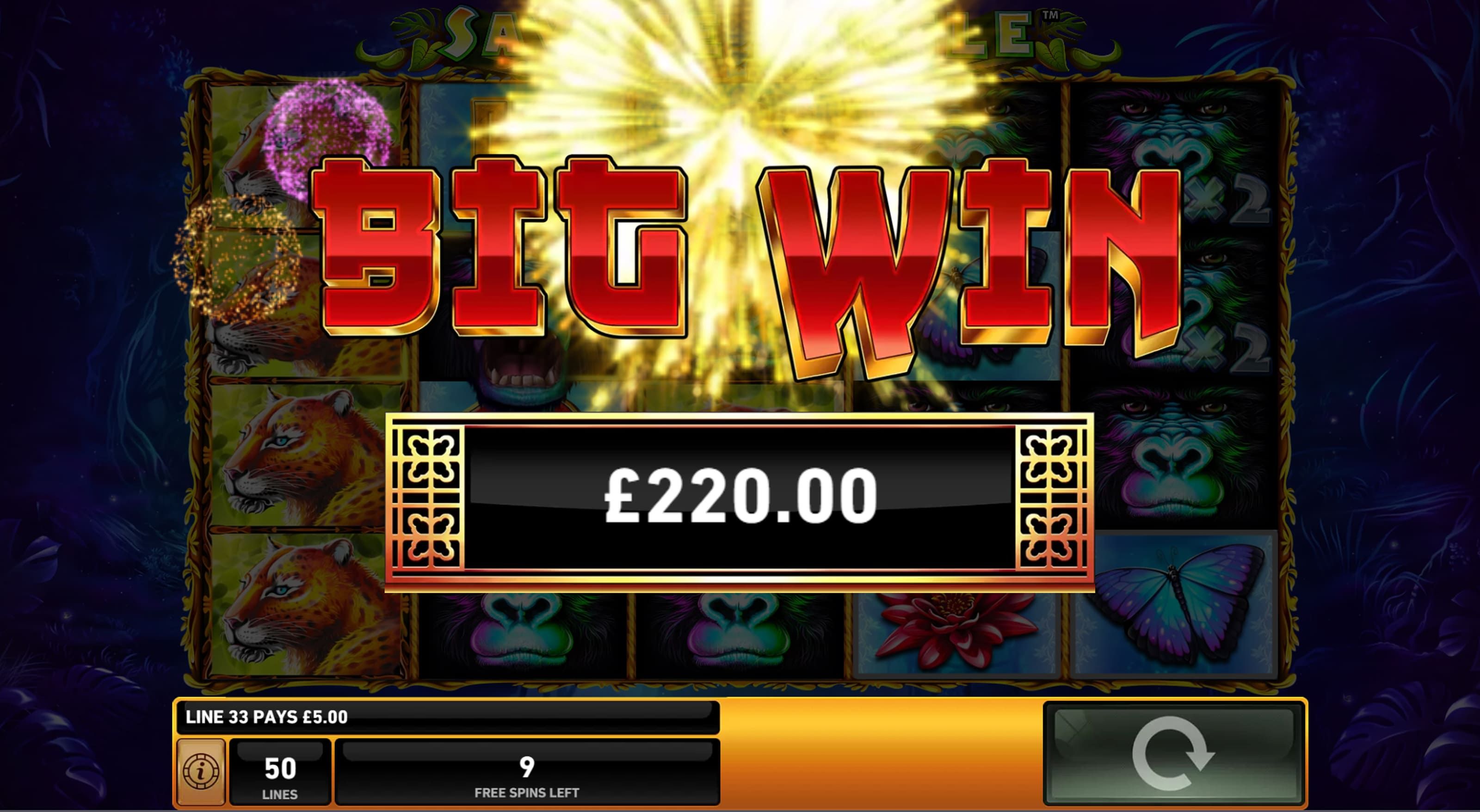 Savage Jungle-gallery-1