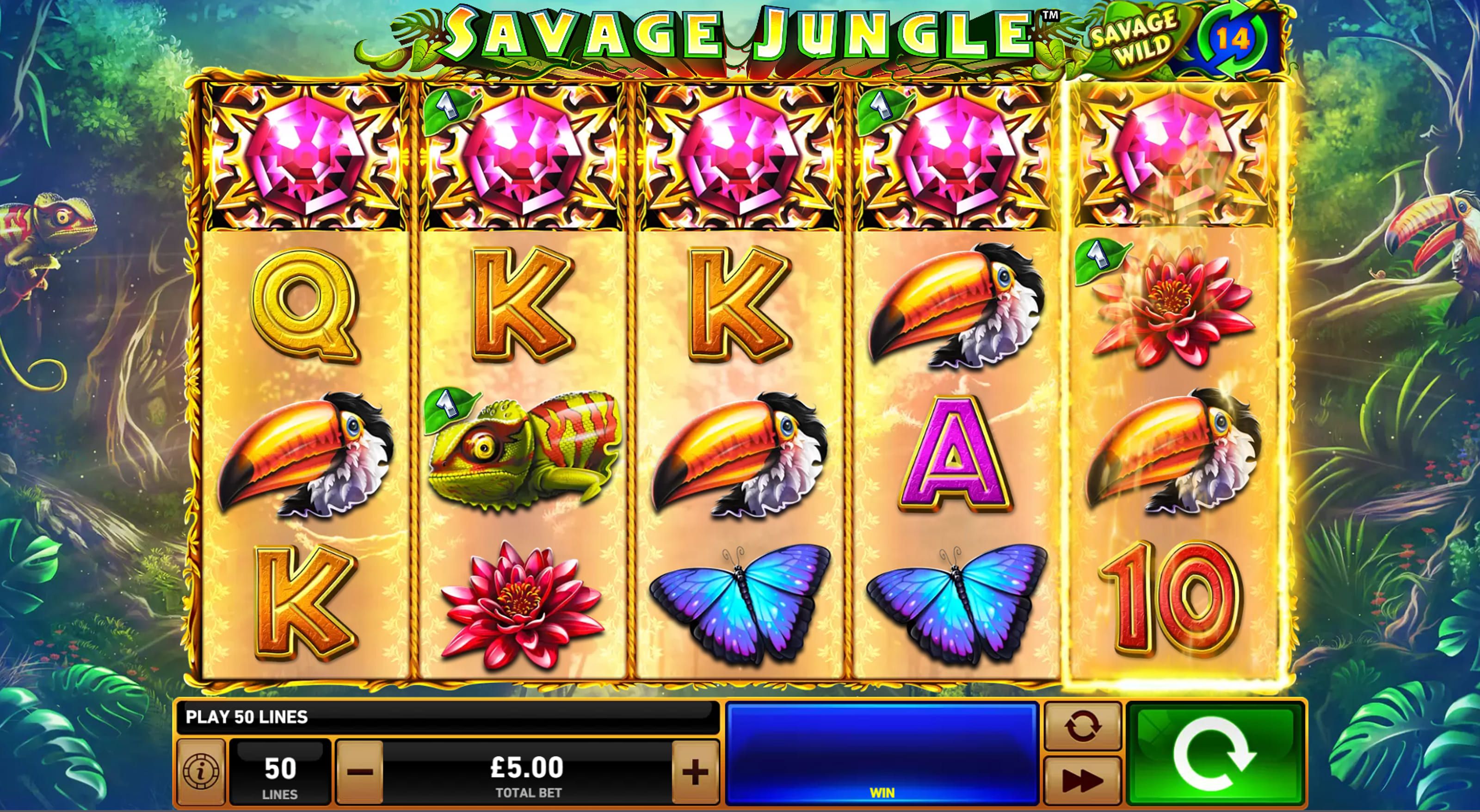 Savage Jungle-gallery-0