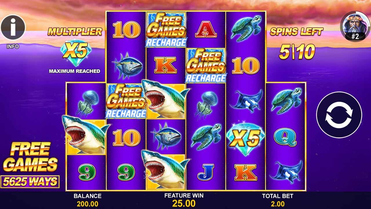 Shark Blitz-gallery-0