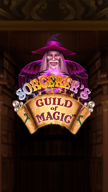 Sorcerer's Guild of Magic