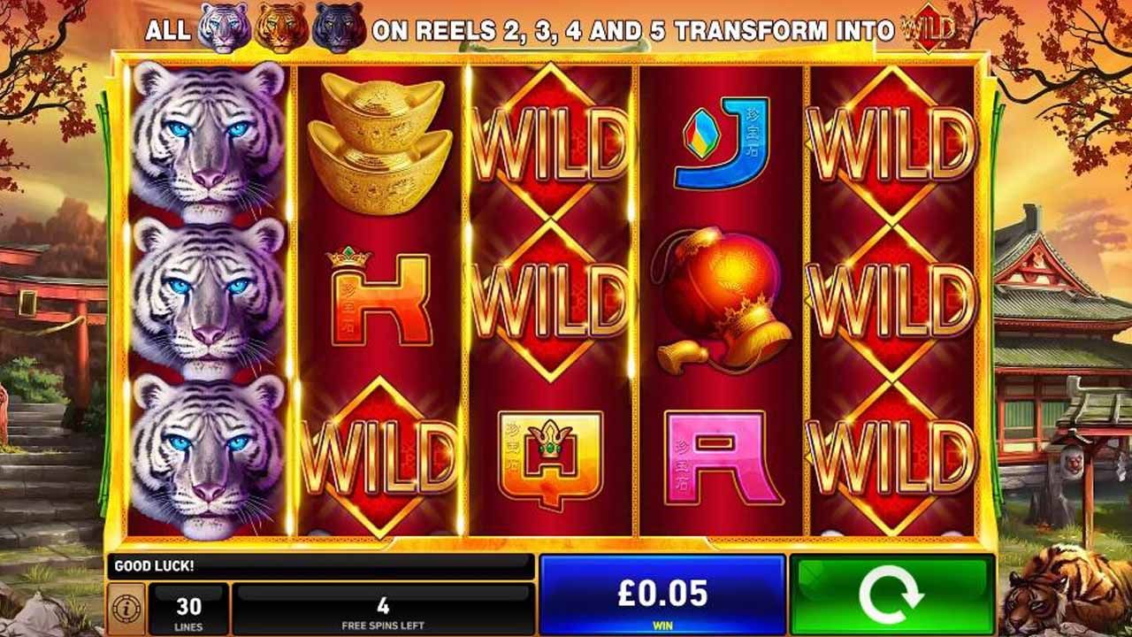 Tiger Stacks-gallery-1