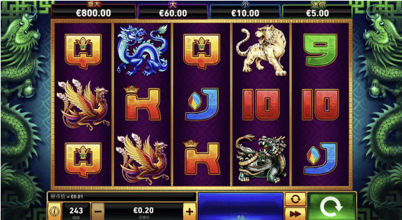 Tiger Turtle Dragon Phoenix-gallery-1