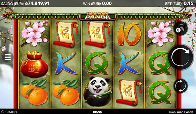 Tuan Yuan Panda-gallery-2