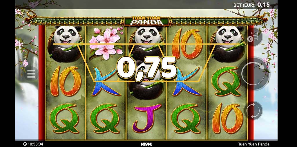 Tuan Yuan Panda-gallery-0