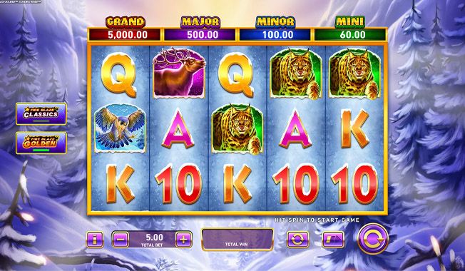 Fire Blaze: Tundra Wolf-gallery-0