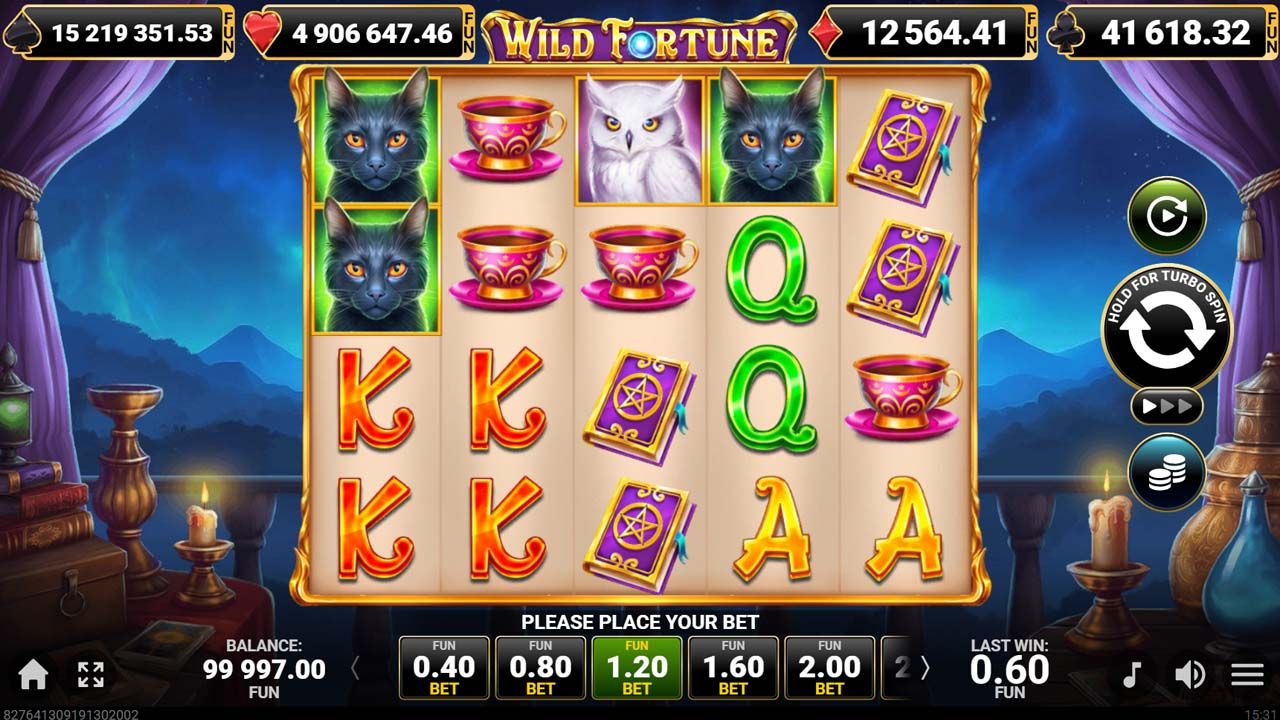 Wild Fortune-gallery-2