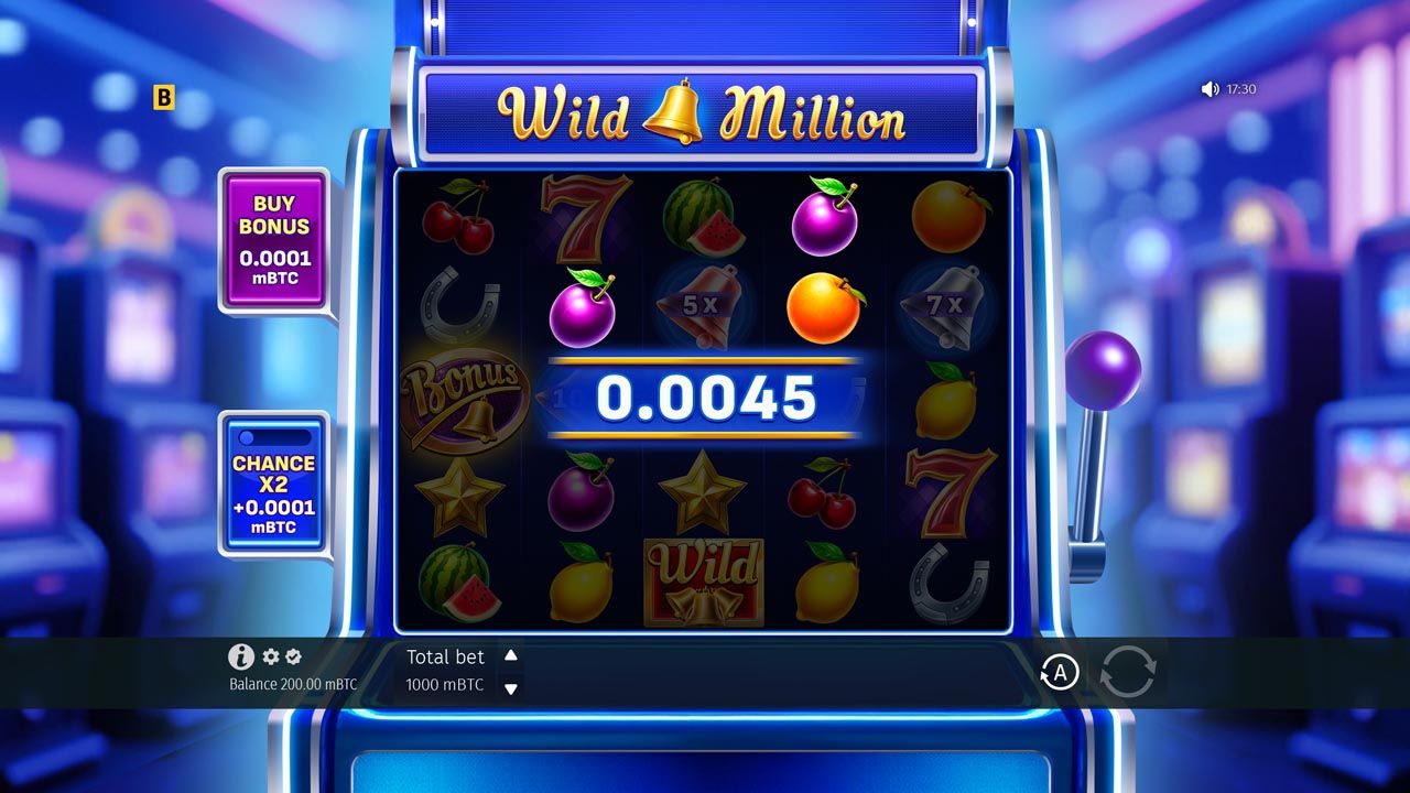 Wild Million-gallery-1