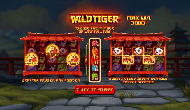 Wild Tiger -gallery-0