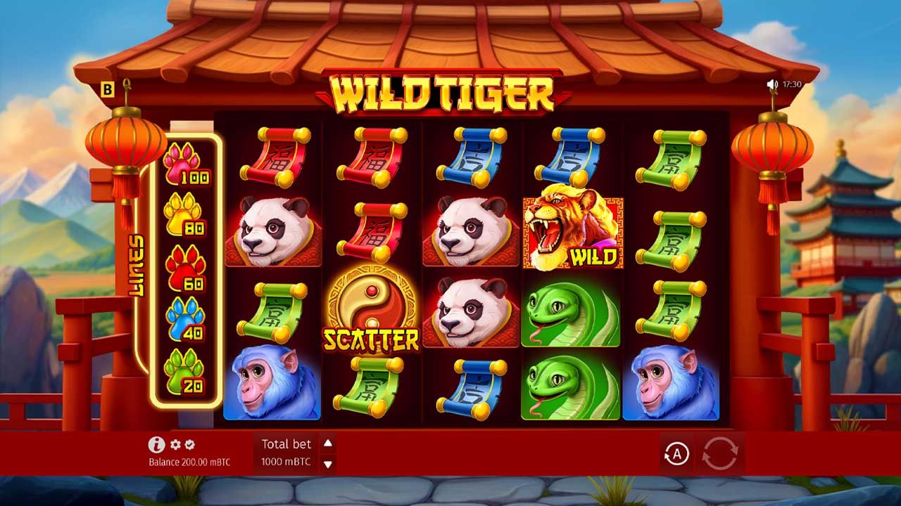 Wild Tiger -gallery-2