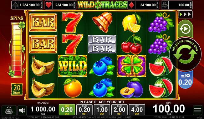 Wild Traces-gallery-1