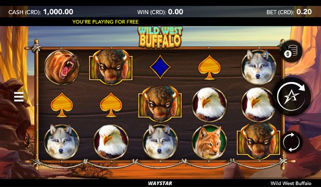 Wild West Buffalo-gallery-0